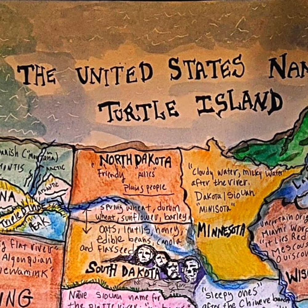 USA Handmade Map cartography painting watercolor pen & ink Earth Day - Picture 8 of 16